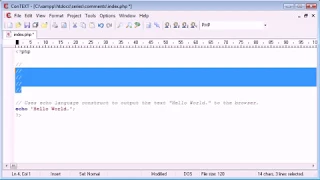 13 Beginner PHP Tutorial 13 Comments in PHP GeekyPHP