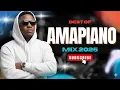 Download Lagu AMAPIANO MIX 2025 🔥 Best 3-Step \u0026 Soulful Vibes | DJ [NASHY]
