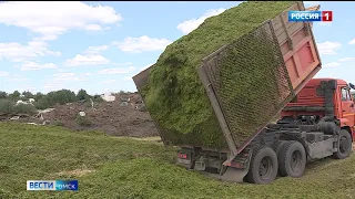 Миллион тонн зерна намолотили омские аграрии