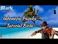 Download Lagu ☑️ BELAJAR BIOLA LAGU INDONESIA PUSAKA🔸 SEMANGAT NASIONALISME !