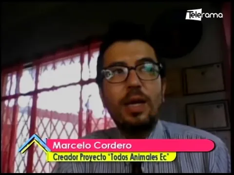 En Cuenca Todos los Animales EC impulsa la campaña de adopción y esterilización de mascotas