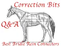 Q A Correction Bits and Other Things