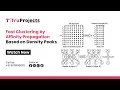 Fast Clustering by Affinity Propagation Based on Density Peaks