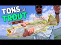 Catching TONS of TROUT REDFISH in Tampa Bay