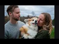 Clover the Corgi at Michigan s Metamora State Park