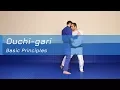Download Lagu Ouchi-gari - Basic principles