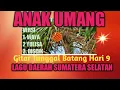 Download Lagu ANAK UMANG VERSI WAYA, YULISA \u0026 DISCIK|| GITAR TUNGGAL BATANG HARI 9 LAGU DAERAH SUMATERA  SELATAN.