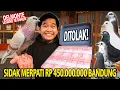 Download Lagu SIDAK PETERNAKAN MERPATI TINGGI SULTAN DI BANDUNG! HARGANYA RP 450JUTA SAMPAI DAPET MOBIL!