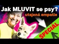 Download Lagu MICHAELA DRÁBKOVÁ: 💥 Potlačená telepatie se PSY?💥 [tajemství PŘEDKŮ]