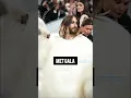 Download Lagu Met Gala 2023#shorts