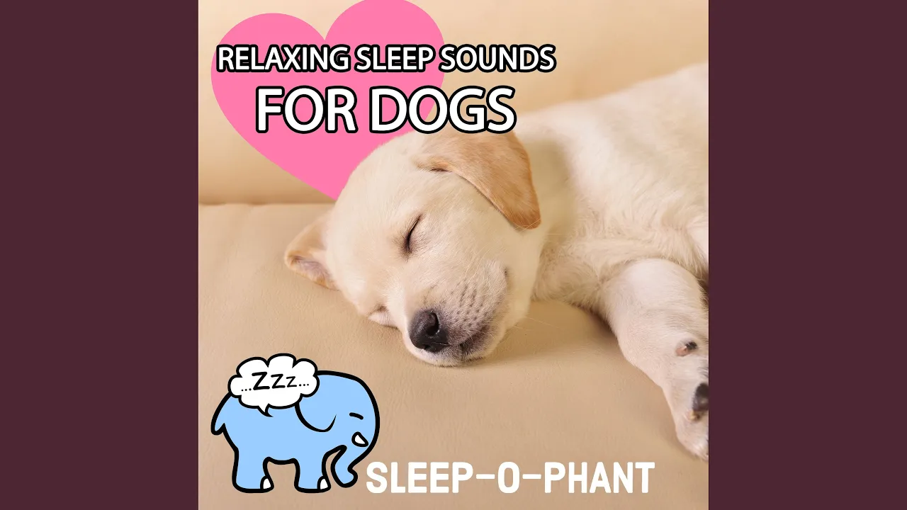 Womb Sounds for Dogs (Heartbeats for Puppies) , Pt. 27 Womb Sounds for Dogs (Heartbeats for Puppies) , Pt. 27