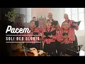 Download Lagu Pacem - Soli Deo Gloria Urk
