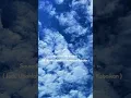 Download Lagu Kanashimi Wo Yasashisa Ni Ost Naruto ( Lagu Viral Tiktok )