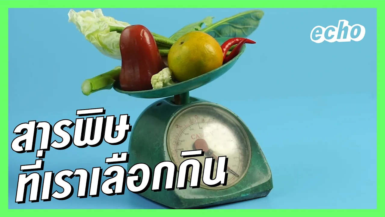 สารปนเปื้อนในอาหาร-วิทยาศาสตร์ป.6