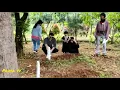 Download Lagu Di balik layar Ftv Rhido Rhoma