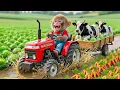 Lagu Monkey BuBu’s Cabbage Harvest Turns CHAOTIC as a Milk Cow Sinks in Mud… The Rescue Is Unbelievable!
