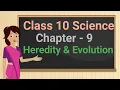 Class 10 Science Chapter 9 Topic 9 2 Heredity Rules for the inheritance Mendelian Dihybrid Cross