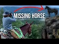 We Lost Our Horse In The Mountains...