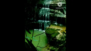 القارئ هزاع البلوشي 