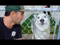 I Tried Working at a San Diego Animal Shelter for 24 Hours