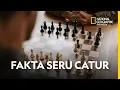 Download Lagu Fakta Seru Mengenai Catur dari Dunia Muslim