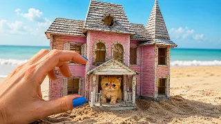 True Story about The Smallest Rescued Kittens. New house for kittens and cats