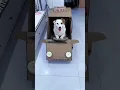 Download Lagu Car driver 😍🥰~NewViral Gadgets,Smart Appliances,KitchenUtensils/Home Inventions