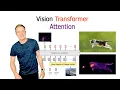 Vision Transformer Attention
