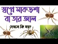 Download Lagu স্বপ্নে মাকড়সা জাল দেখলে কি হয় | স্বপ্নে মাকড়সা দেখলে কি হয় | shopne makorsha dekhle ki hoy |