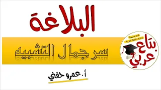 سر جمال التشبيه 