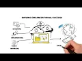 A Future Careers Bridge Tech Career Series - Cloud computing Limitless possibilities