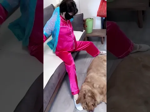 老公男人不靠谱，不如狗子让我快乐 #夫妻日常 #funny #美女搞笑  #goldenretriever 3