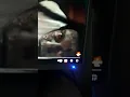 Download Lagu ark ımla sicin 6 izlerken ben ve ark ımla orta parmak cekisimiz