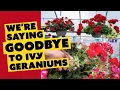 Download Lagu We’re saying GOODBYE to ivy geraniums - and HELLO to some new varieties