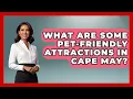 What Are Some Pet-Friendly Attractions in Cape May All About New Jersey