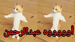 اغنية باسم عبدالرحمن بودي سطلانة السعودية الامارات تركيا العراق قطر مسقط البحرين الجزائر دبي جده 