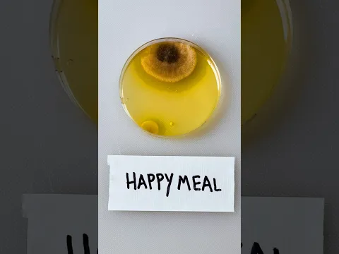 McDonald’s Happy Meal Bacteria Test…🤢 #usa