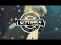Neptunica & Corona - The Rhythm Of The Night