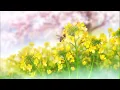 terus terang - missing madeline