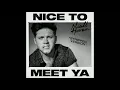 Niall Horan - Nice To Meet Ya (Stripped Version / Audio)