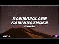 Download Lagu Kannimalare Kanninazhake (Lyrics) | Ithihasa | Malayalam Lyrics | Najeem Arshad, Gayathri Suresh