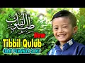 Lagu Sholawat Tibbil Qulub (Sholawat Penyembuh/Obat Hati) - Fadhlan Syakir | Maulana Junior