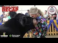 The 2026 4-H Grand Drive Presented by Farm Credit Mid-America at the Indiana State Fair