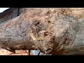 Download Lagu Horrible Thing Looks Like When Sawing Wood Full Of Lumps! What The Next Happened?