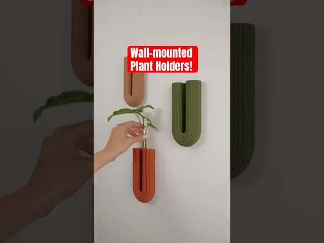 BOWIA wall propagation vase - wall glass tube holder video thumbnail