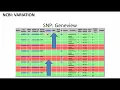 Quantitative Biological Research with Python - Lesson 12 Lecture