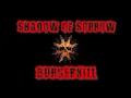 Download Lagu burgerkill - Shadow of sorrow (gitar backing track)
