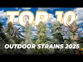 Top 10 Outdoor Cannabis Strains Must-Grow in 2025 Fast Buds