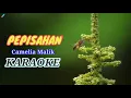 Download Lagu PERPISAHAN - Camelia Malik KARAOKE ( HQ Audio )