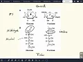 Download Lagu Carbohydrates and their structures